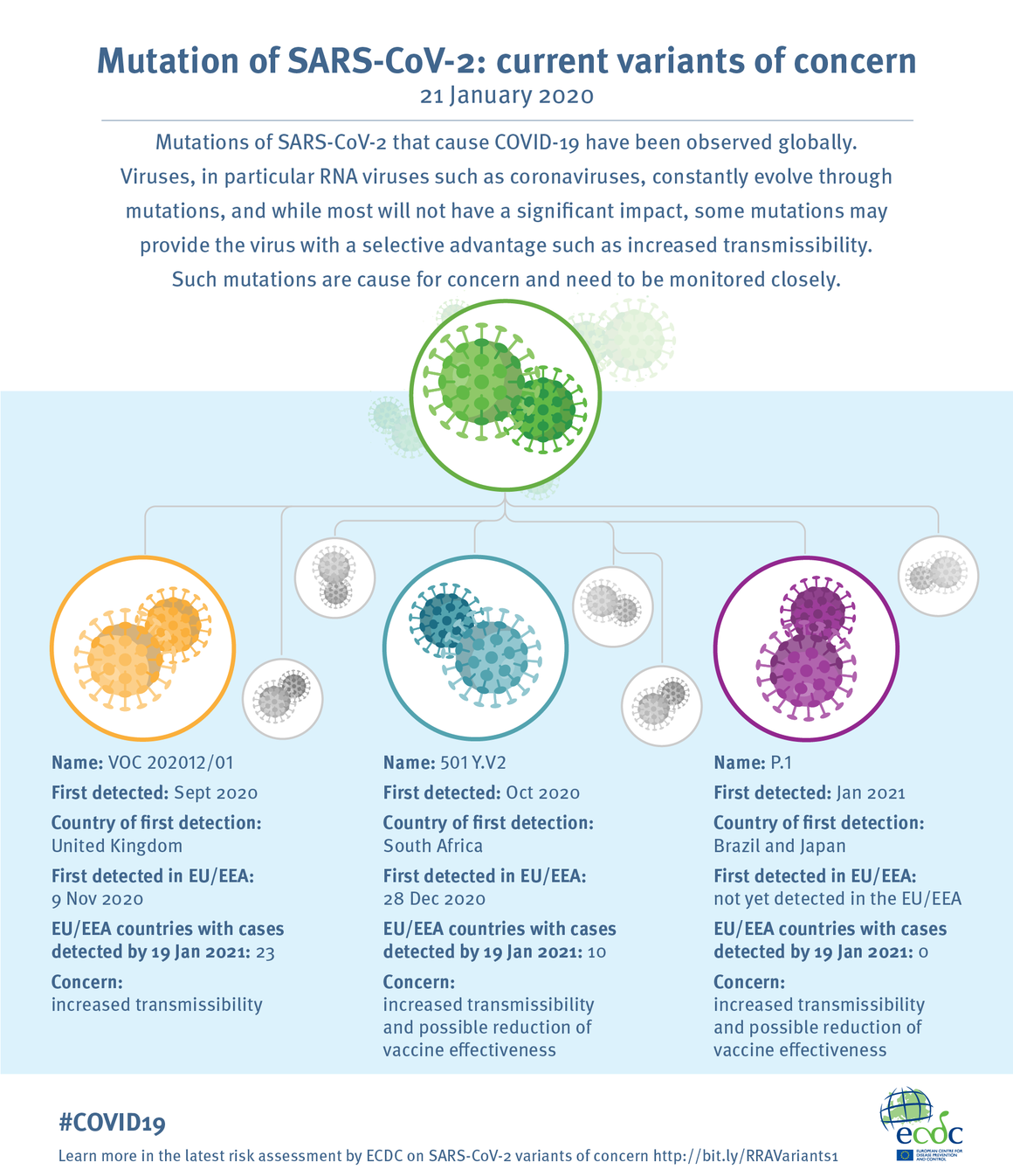 Infographic-RRA-variants_1.png