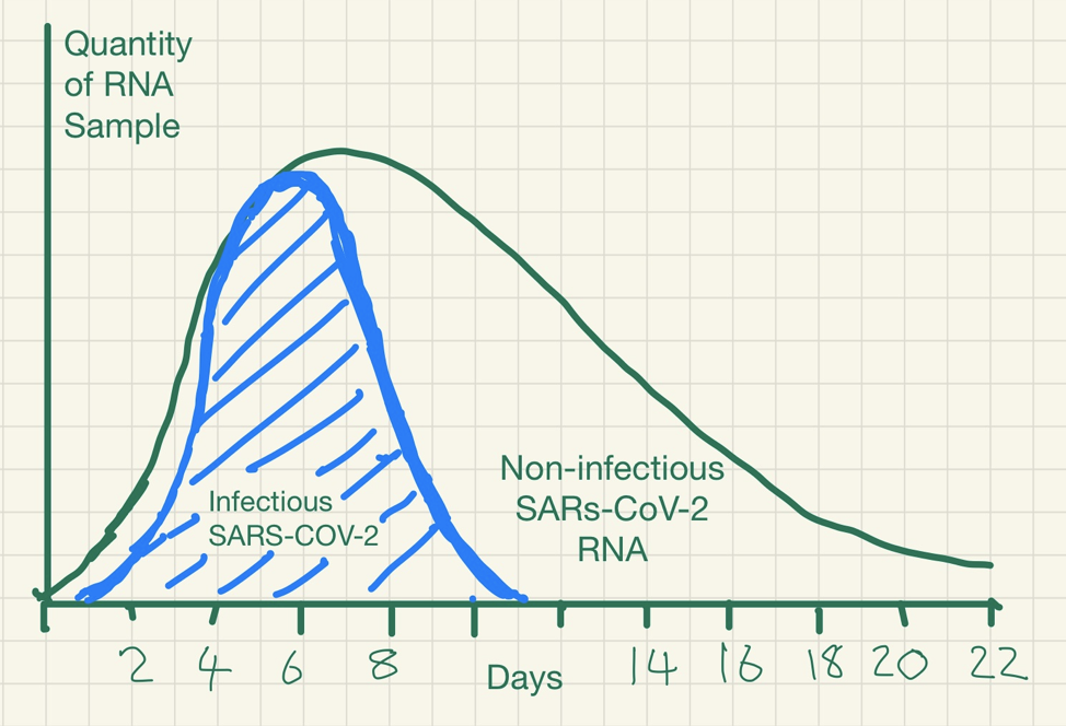 PCR-detection-of-viruses.png